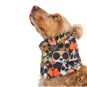 Summer snood for spaniel and cavalier dogs made from breathable cotton fabric