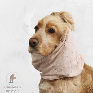 Summer dog snood in Blush Blooms embroidered cotton, shown on a Cocker Spaniel with icons for cotton, feeding, daily walks and summer season