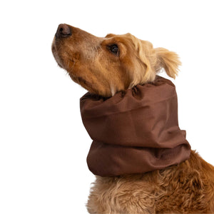 Dog wearing a brown hood on a white background