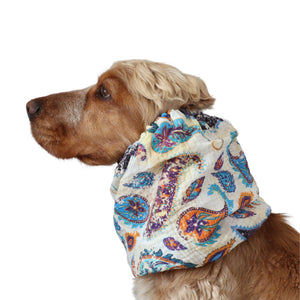Dog with muslin dog snood from Distinguish me