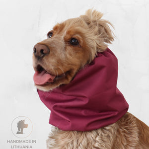 Cocker spaniel wearing Distinguish me Raspberry thick double waterproof dog snood in deep berry red color