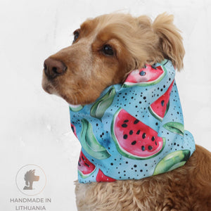Long-eared dog wearing Distinguish me Watermelons thick double waterproof dog snood with colorful watermelon print