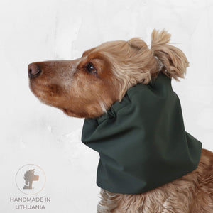 Long-eared dog wearing Distinguish me Forest Green waterproof winter dog snood in solid dark green
