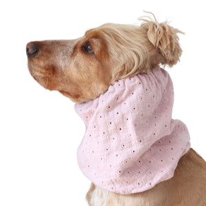 Golden English Cocker Spaniel wearing a blush pink embroidered cotton muslin dog snood with delicate eyelet details.