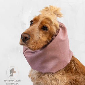Dog Wearing Dog Snood From Distinguish Me