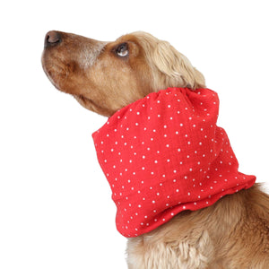 dog with red snood from Distinguish Me
