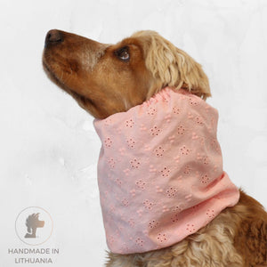 Cocker spaniel wearing blush pink eyelet cotton snood for long ears by Distinguish Me
