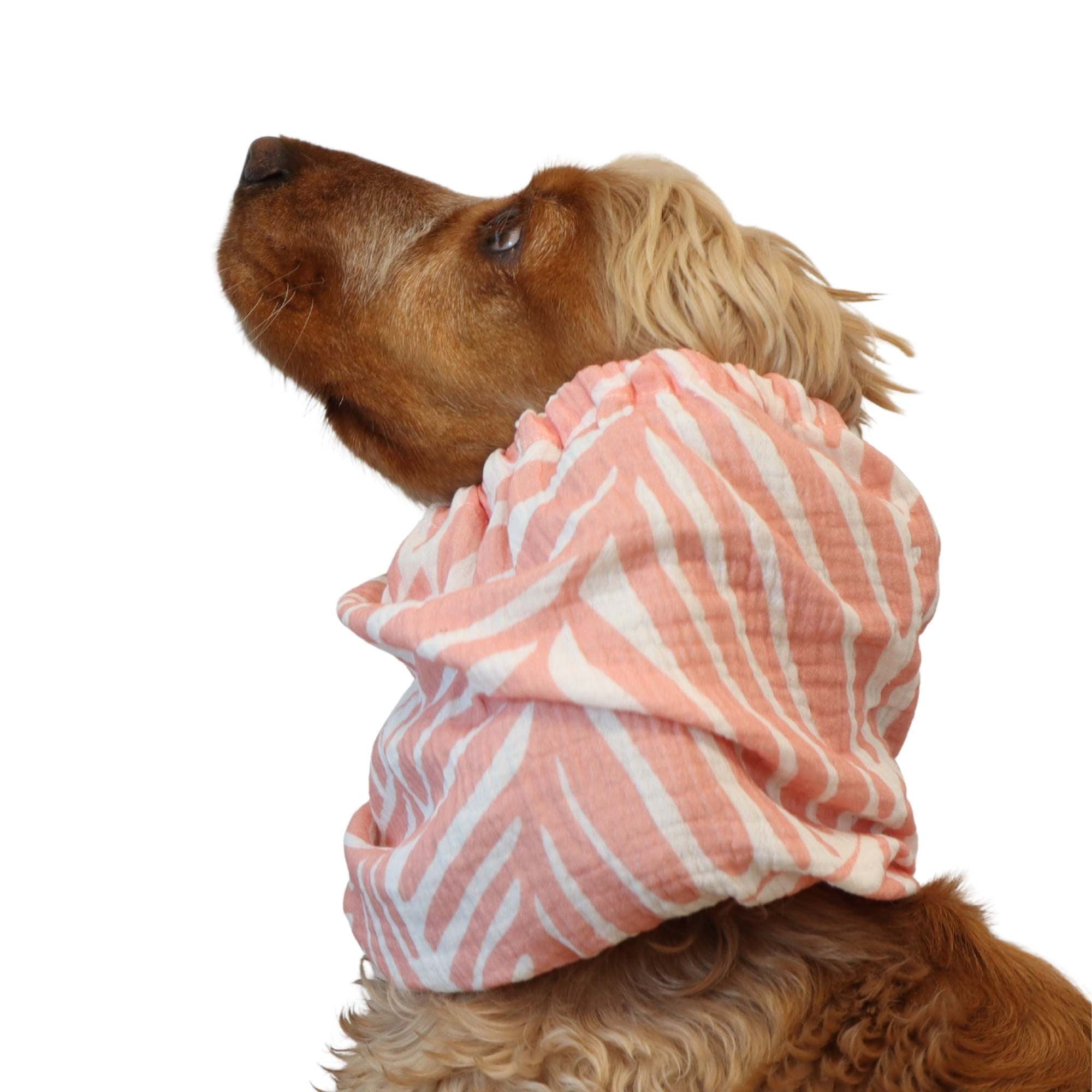 Spaniel in pink zebra muslin dog snood – Soft Jungle by Distinguish Me