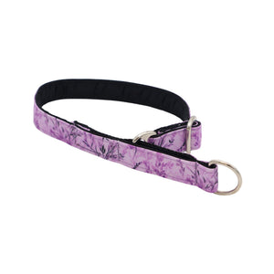 Purple floral-patterned dog collar with black strap on a white background