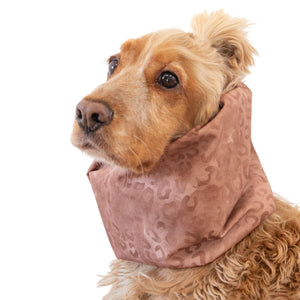 Dog snood protecting ears from dirt and moisture