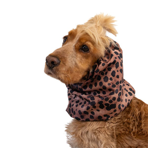 Dog wearing a leopard print scarf on a white background