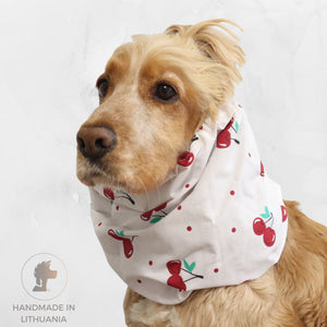 Golden Cocker Spaniel wearing the Cherries lightweight cotton summer dog snood with a white fabric and red cherry print.