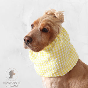 Golden English Cocker Spaniel wearing a yellow and white gingham cotton dog snood over its long ears.