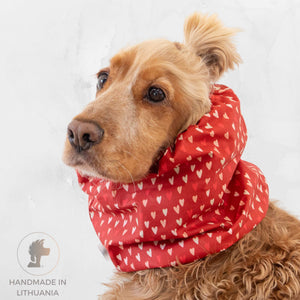 Cotton summer dog snood with hearts pattern for long eared dogs, handmade by Distinguish Me