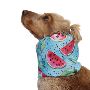 Distinguish me Watermelons waterproof dog snood for Beagle, Basset Hound and other long-eared breeds