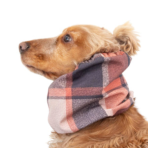 Waterproof dog ear cover for spaniel and cavalier dogs