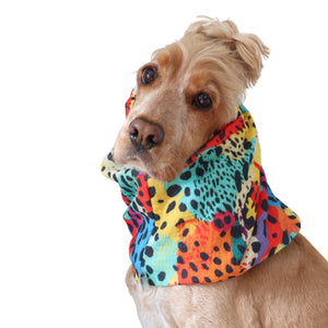 Golden English Cocker Spaniel wearing a colorful cotton muslin dog snood with a bright abstract animal print.