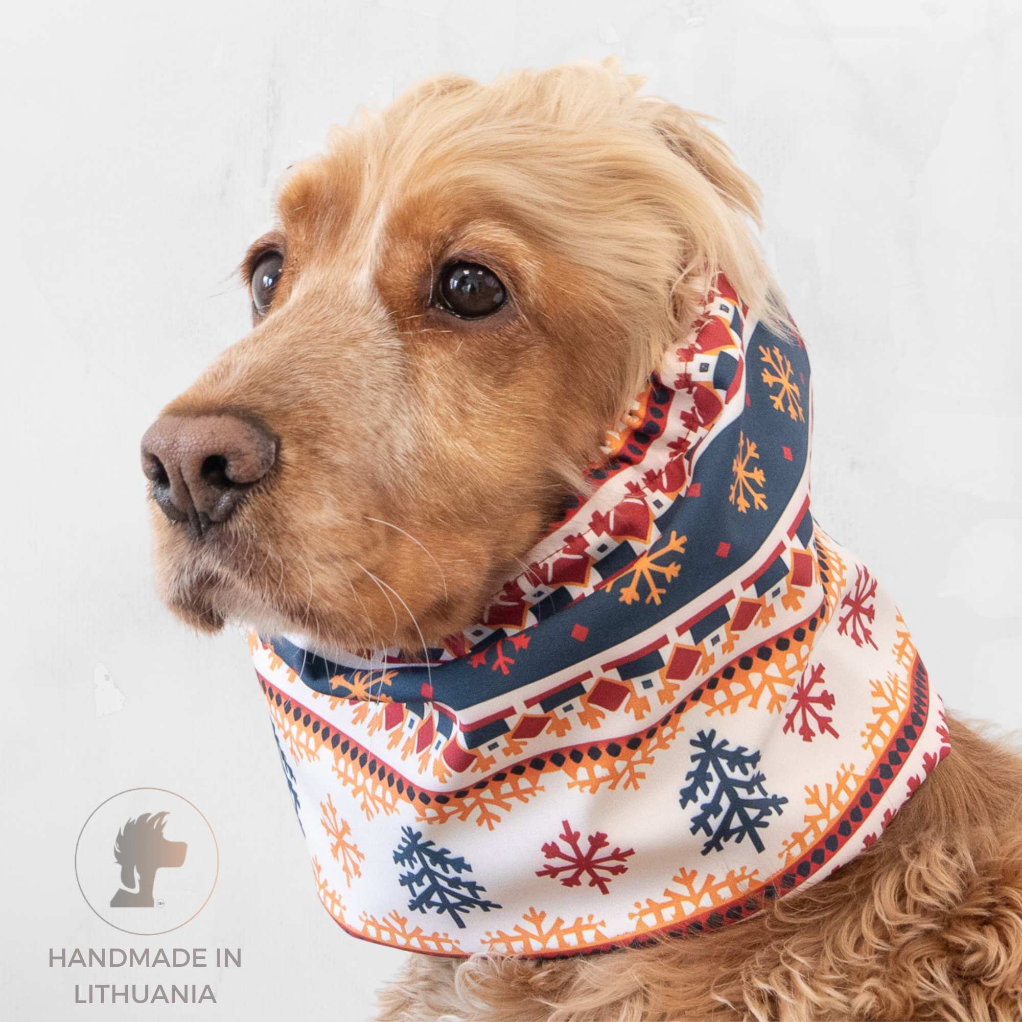 Waterproof winter dog snood made of softshell fabric, long ear dog snood Winter Folk by Distinguish Me