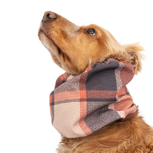 Softshell winter dog snood protecting ears from rain and cold