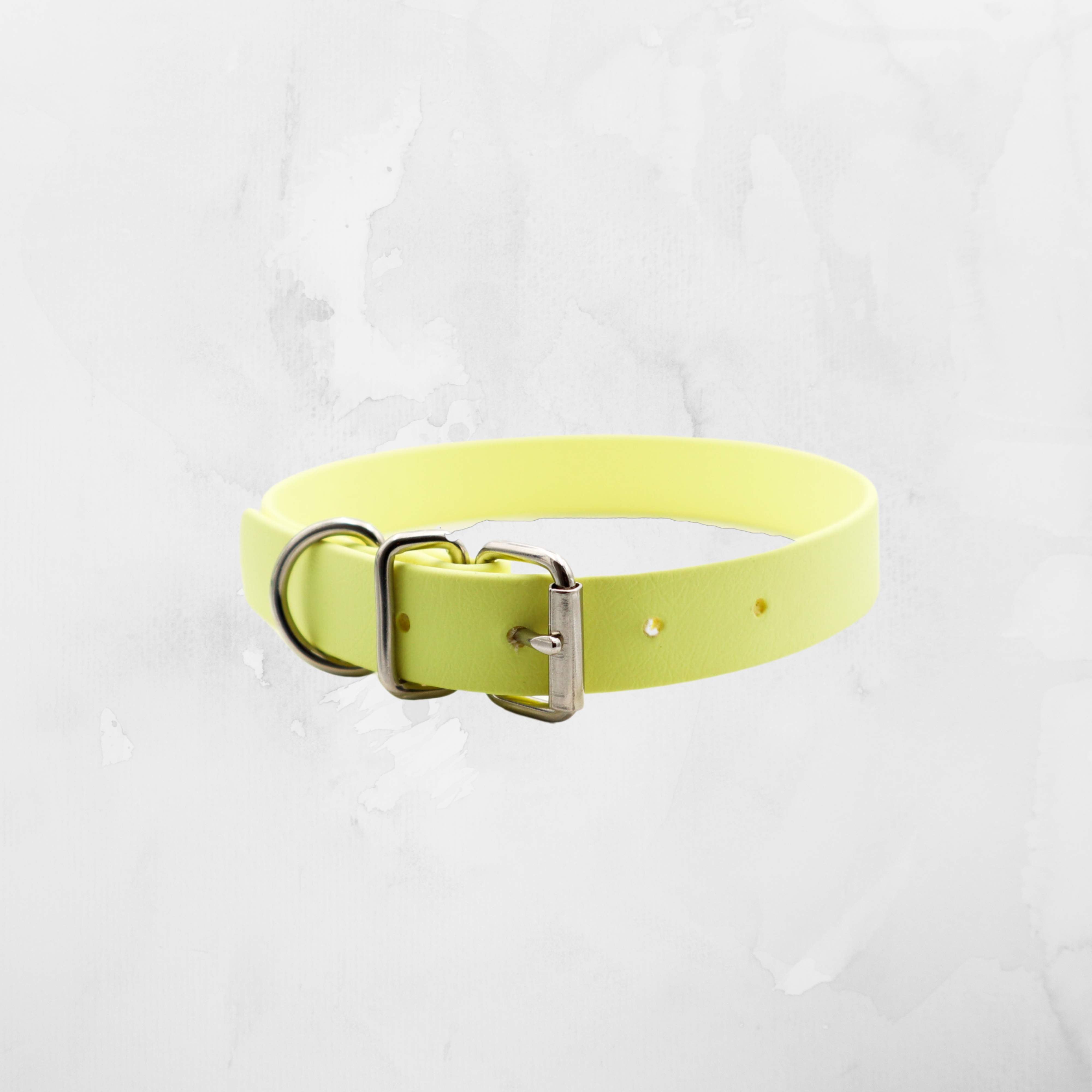 Handmade bright yellow dog collar with a silver buckle and D-ring from 'Distinguish Me' brand on a white textured background