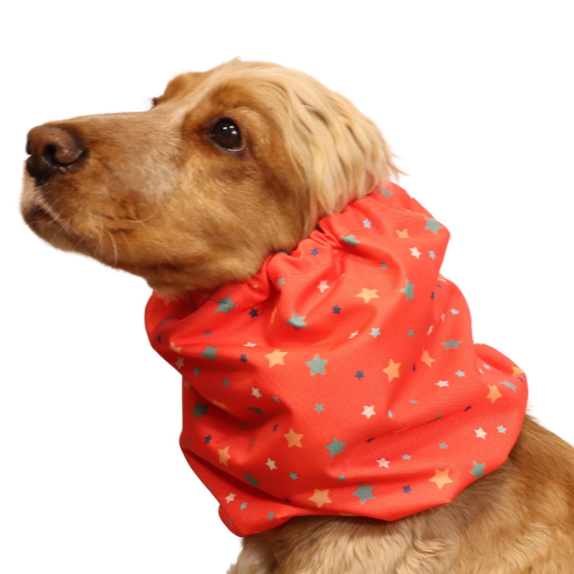Waterproof Dog Snood | Coral Stars