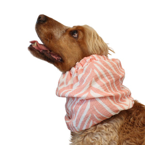 Cocker in pink zebra muslin dog snood – Soft Jungle by Distinguish Me