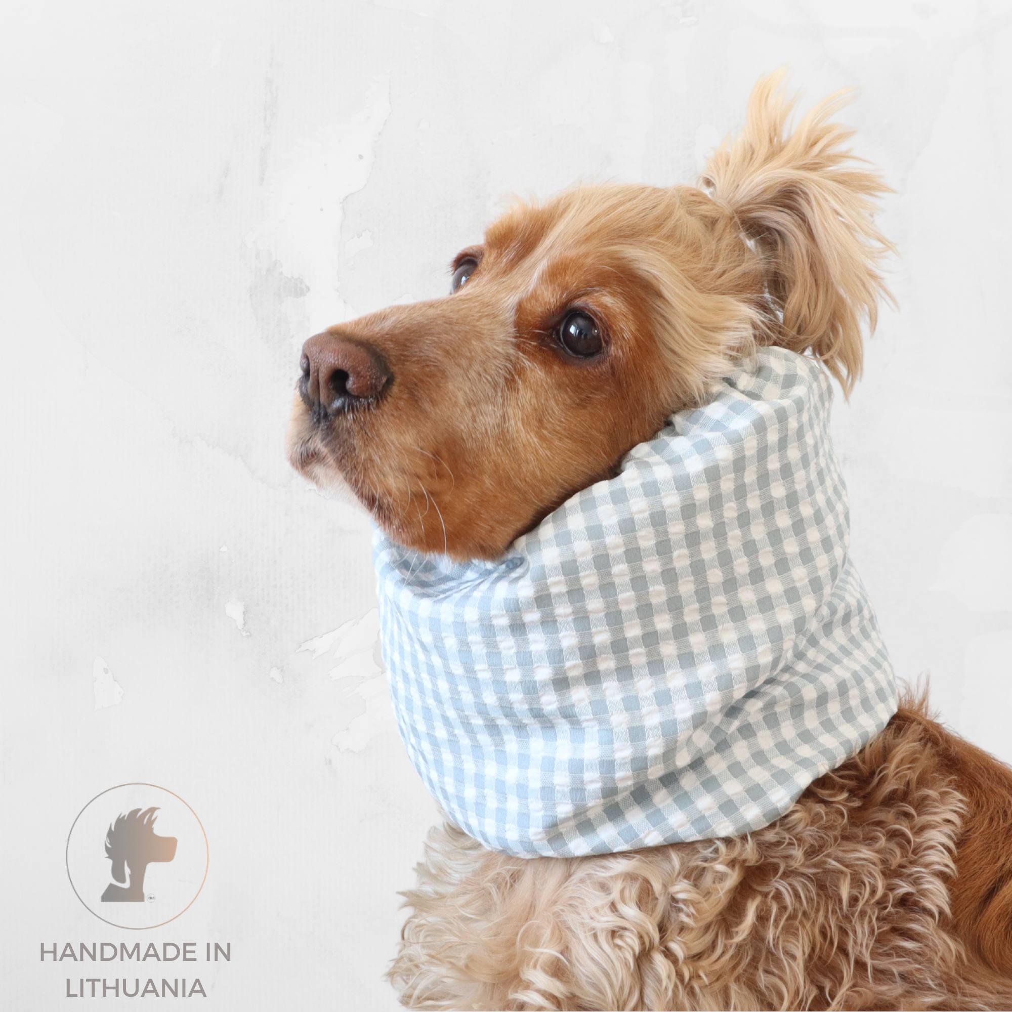 dog with snood