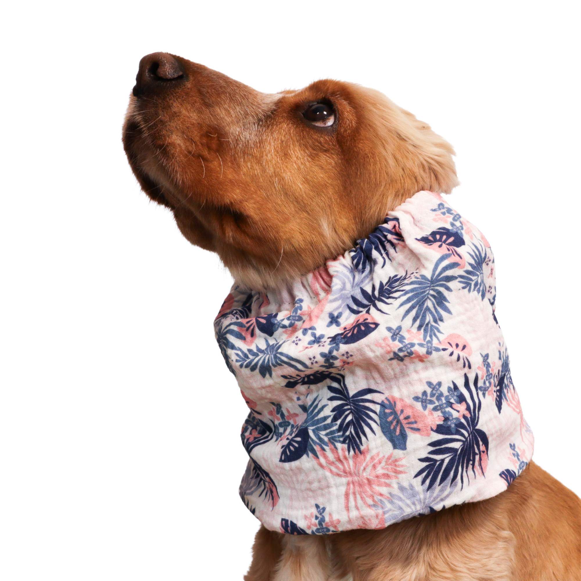 <tc>Medvilninis (muslino) Snoodas Šuniui | Tropinis vėjelis</tc>