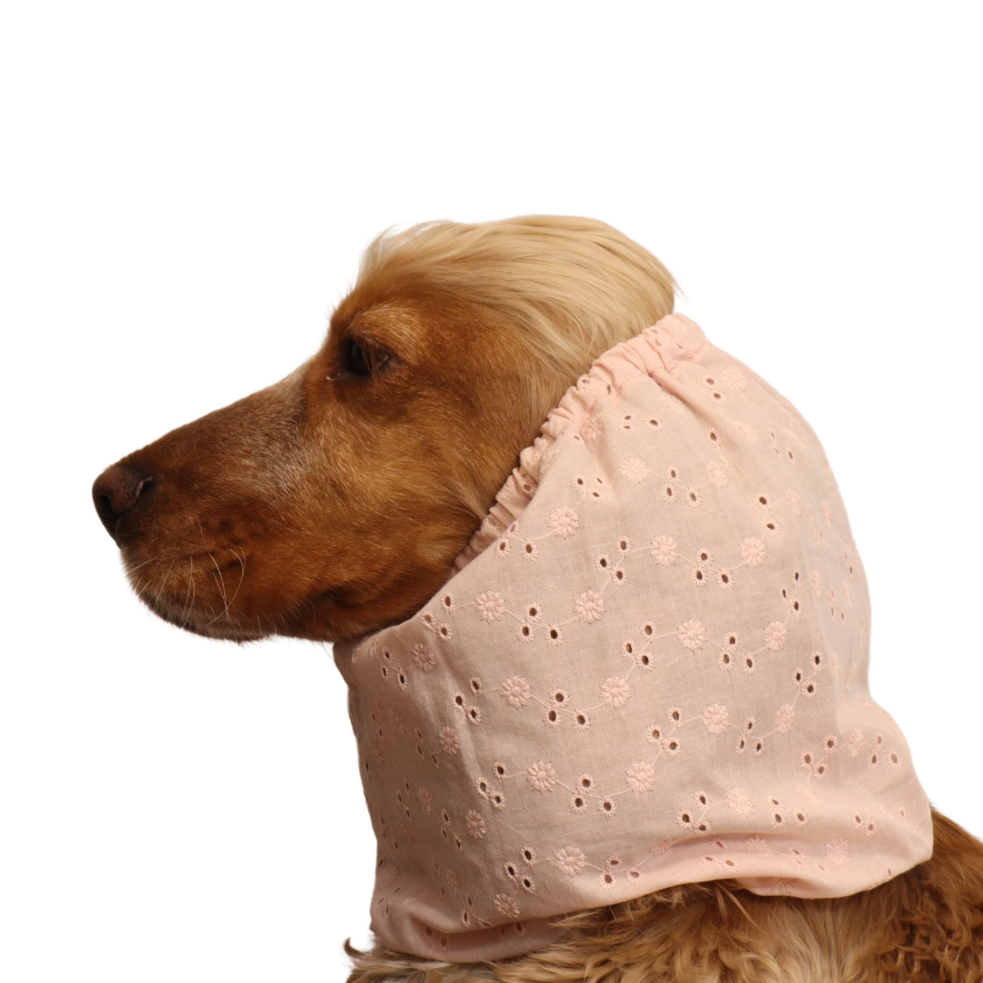 <tc>Medvilninis Snoodas Šuniui | Persikinis žiedas</tc>
