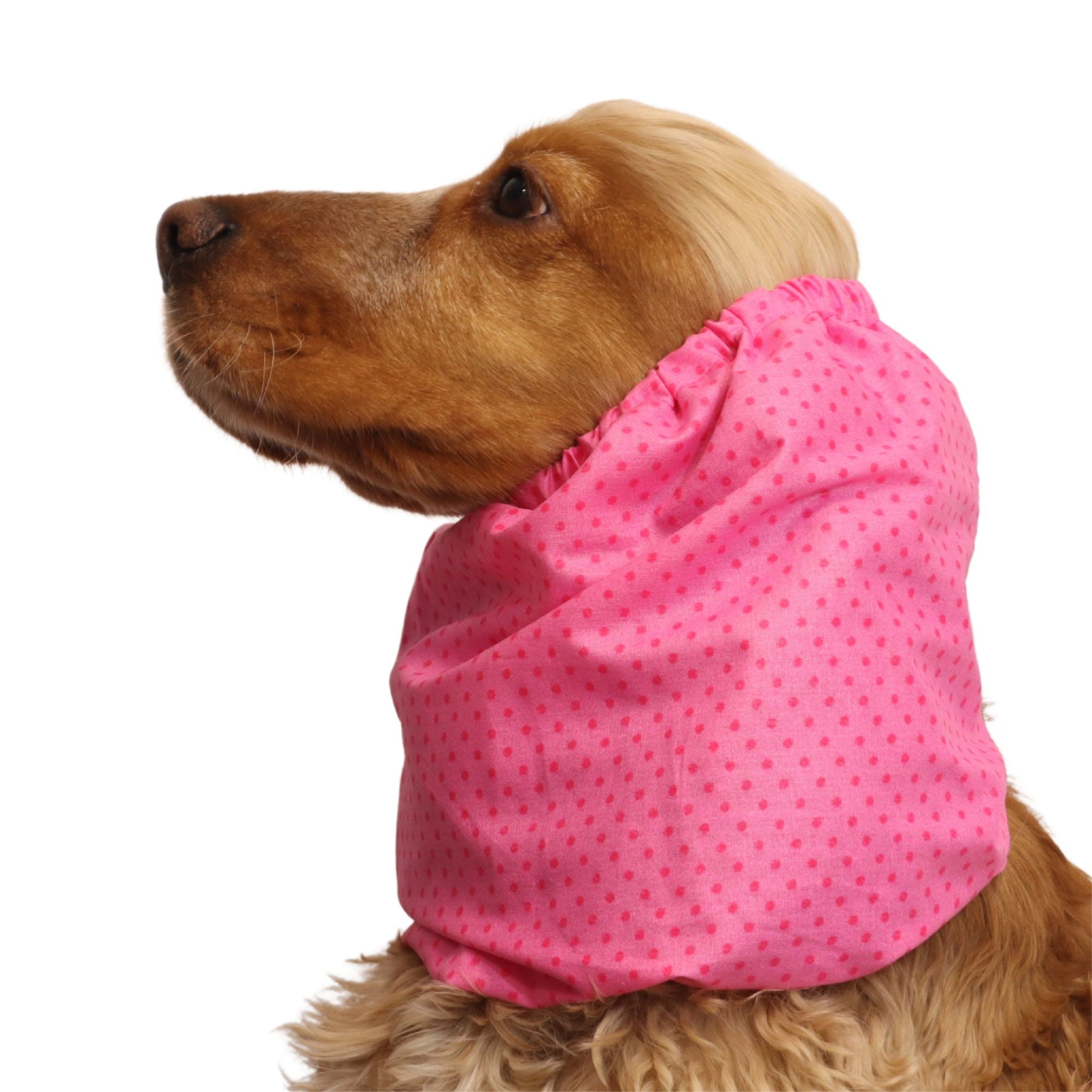 <tc>Medvilninis Snoodas Šuniui | Braškiniai taškeliai</tc>