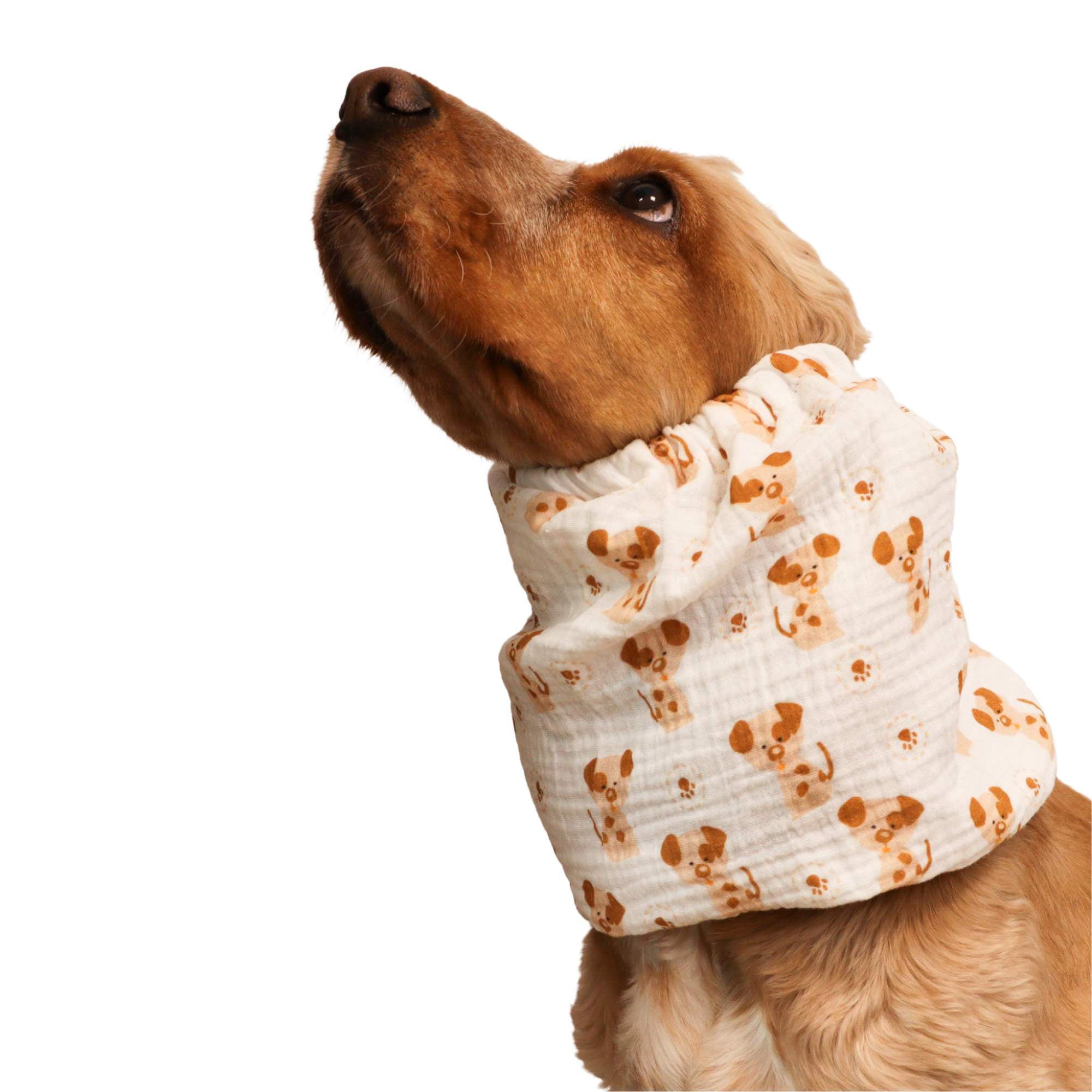 Cotton (Muslin) Dog Snood | Puppies