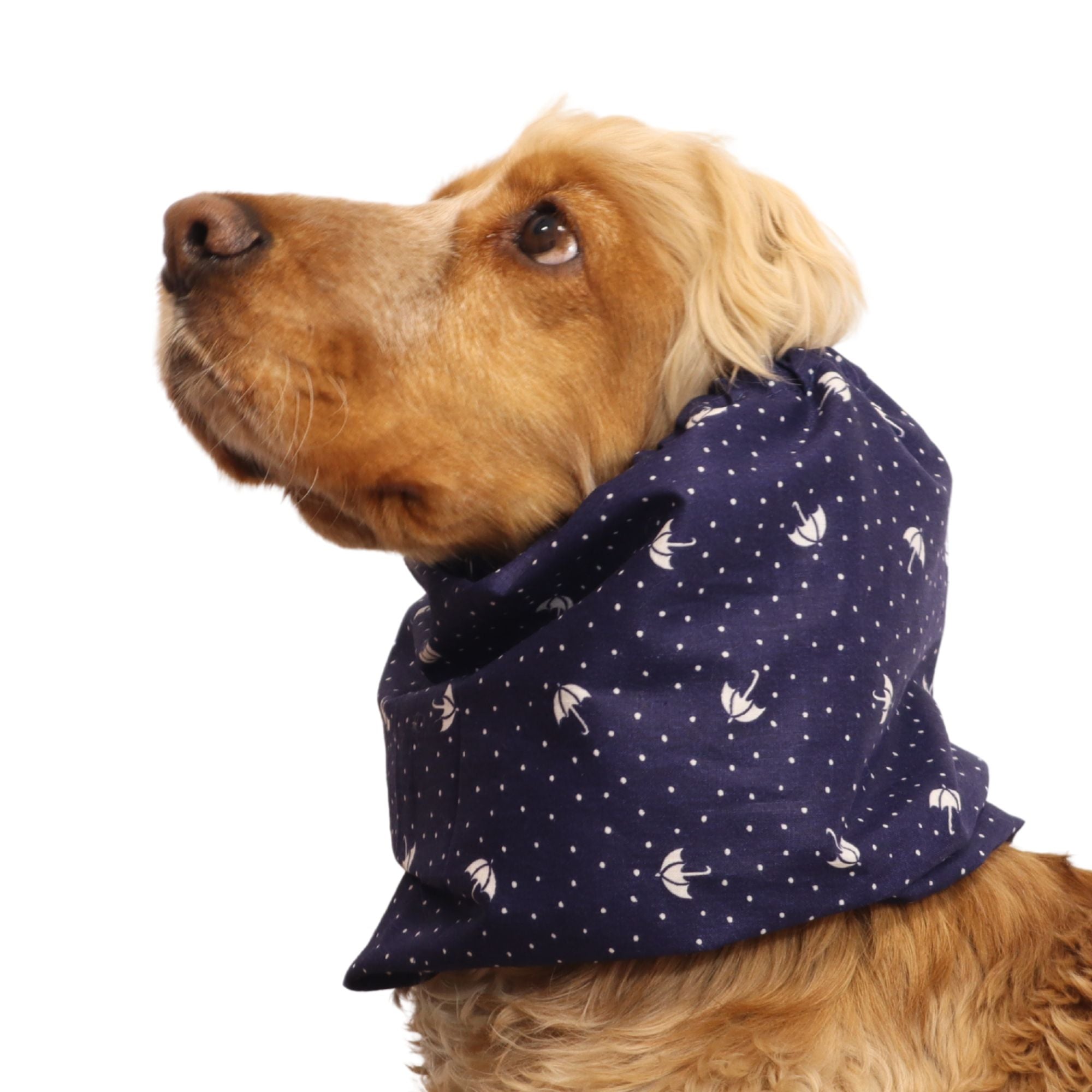 <tc>Medvilninis Snoodas Šuniui | Skėčiai</tc>