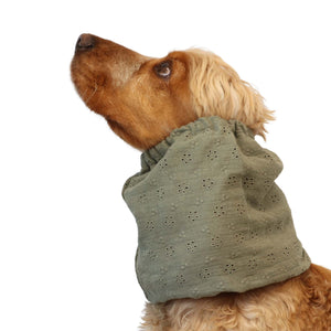 Cocker spaniel wearing sage green dog snood with floral embroidery – Sage Bloom by Distinguish Me
