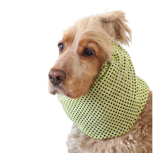 sparkling dog snood