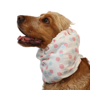 Spaniel wearing pastel polka dot dog snood made from cotton muslin – Pastel Party design by Distinguish Me
