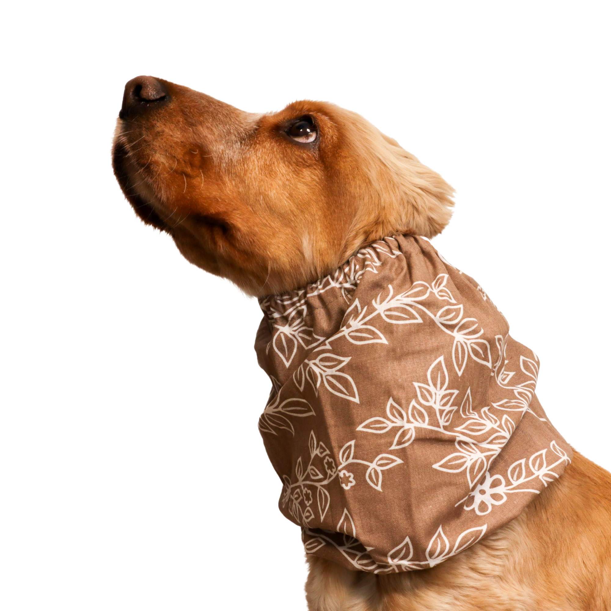 Cotton Dog Snood | Feuille Douce