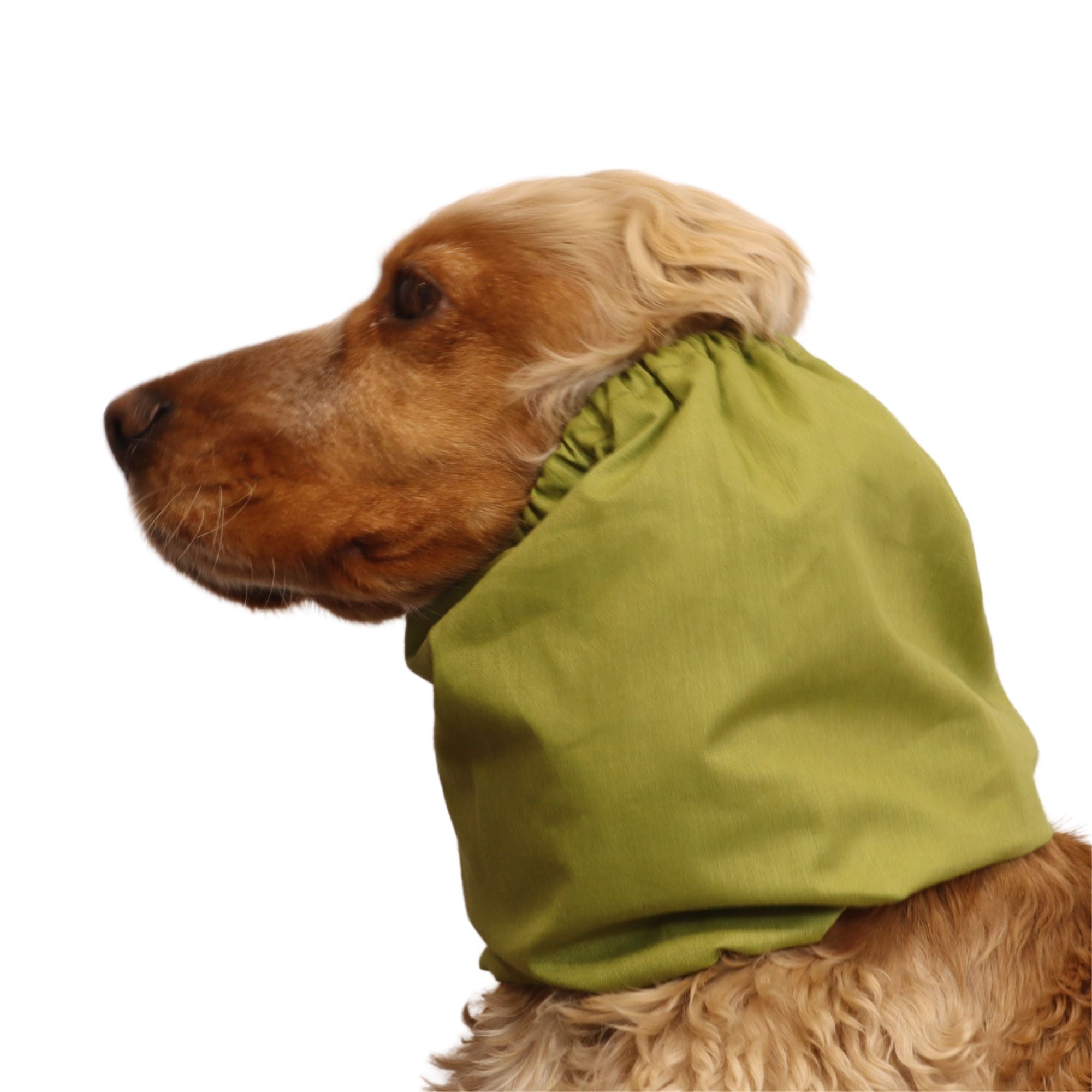 <tc>Medvilninis Snoodas Šuniui | Alyvuogių žalias</tc>