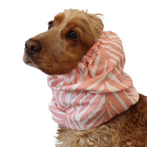 Cocker spaniel in pink zebra muslin dog snood – Soft Jungle by Distinguish Me