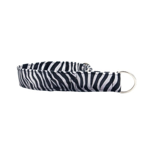 Zebra patterned dog collar on a white background