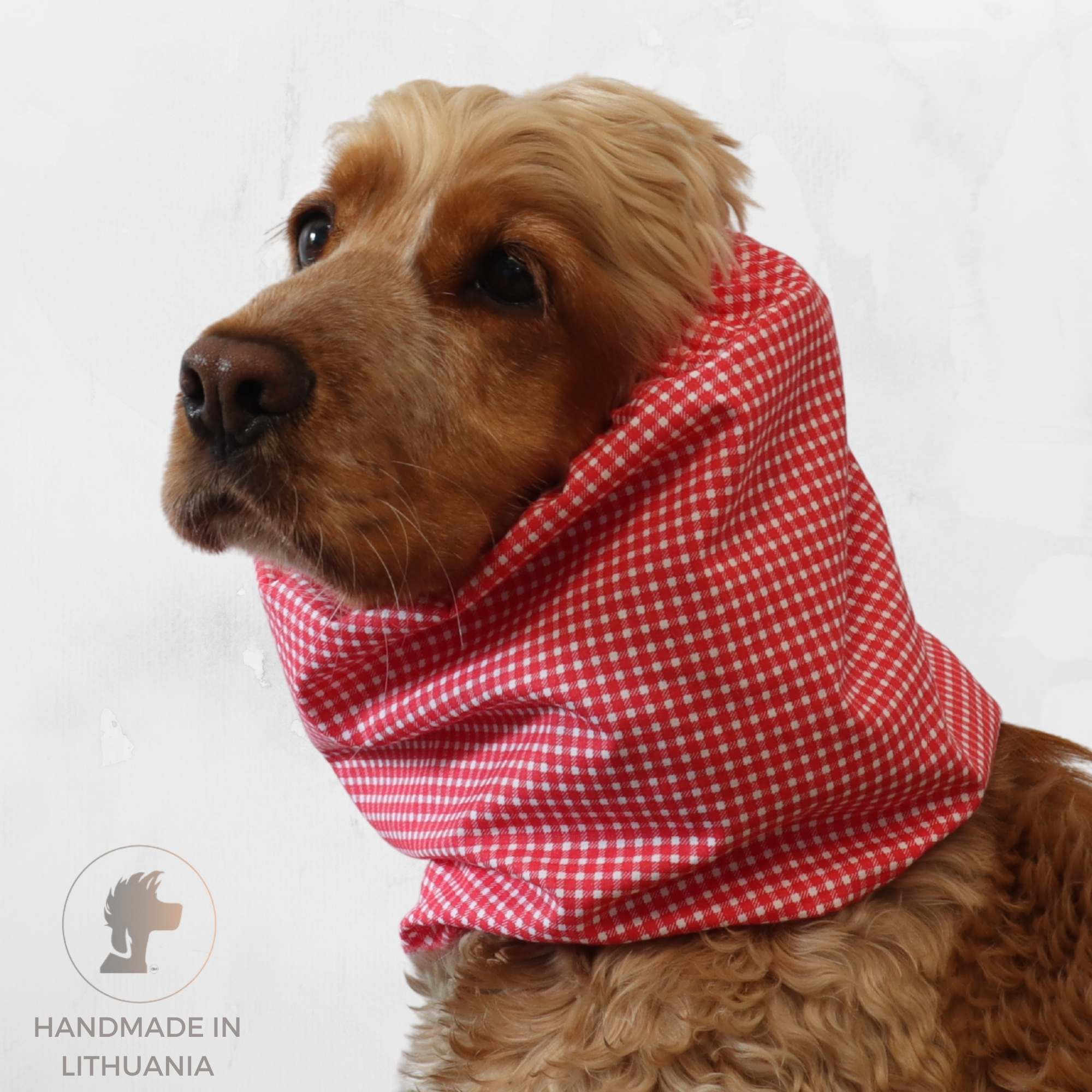 Cocker Spaniel wearing red gingham cotton dog snood for long ears, perfect for summer walks and feeding time