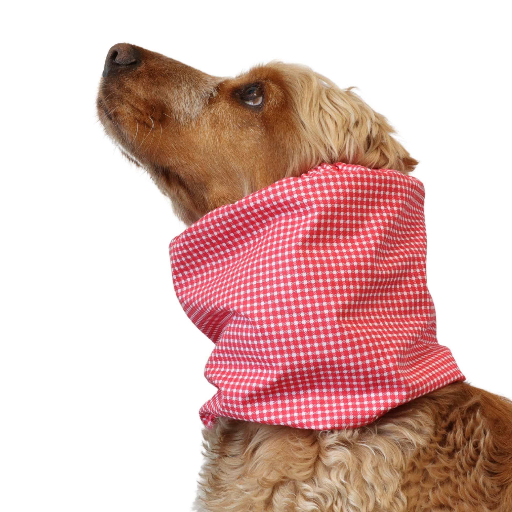 Cocker wearing red gingham cotton dog snood for long ears, perfect for summer walks and feeding time