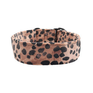 Prabangus veliūrinis antkaklis šuniui, leopardinis dizainas – Distinguish Me