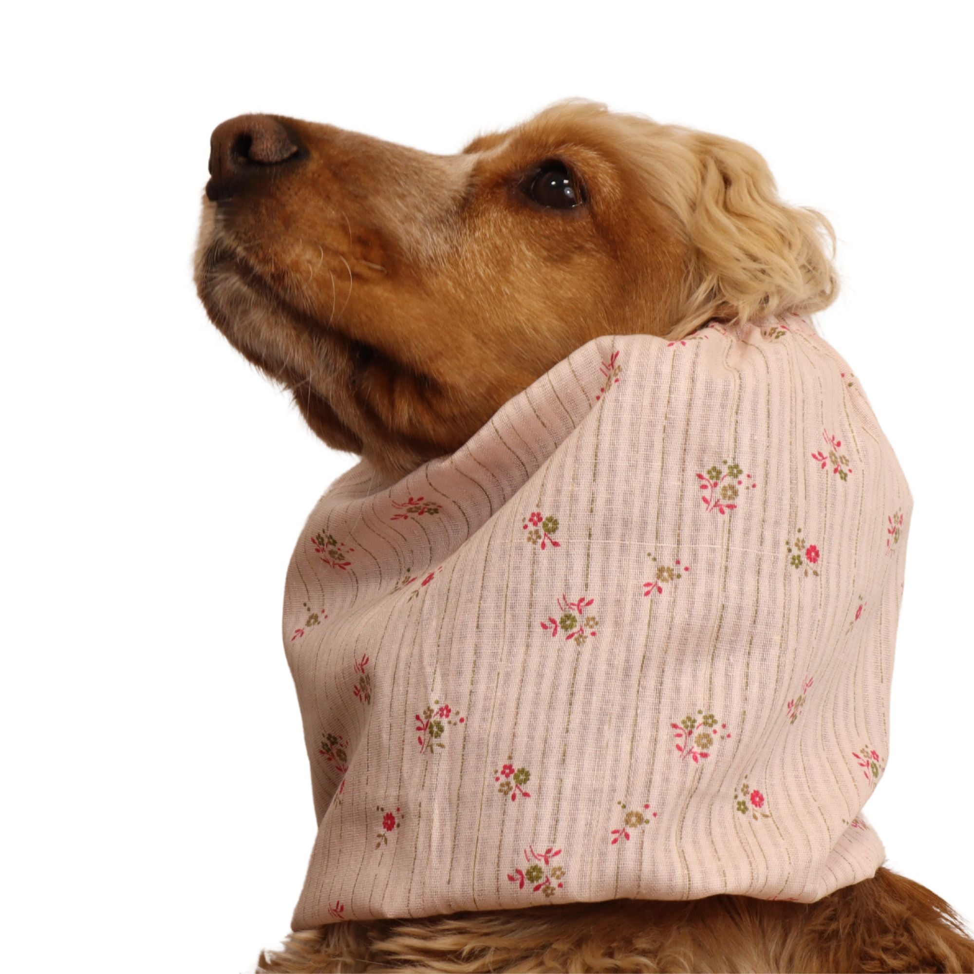 <tc>Medvilninis Snoodas Šuniui | Švelni vasara</tc>