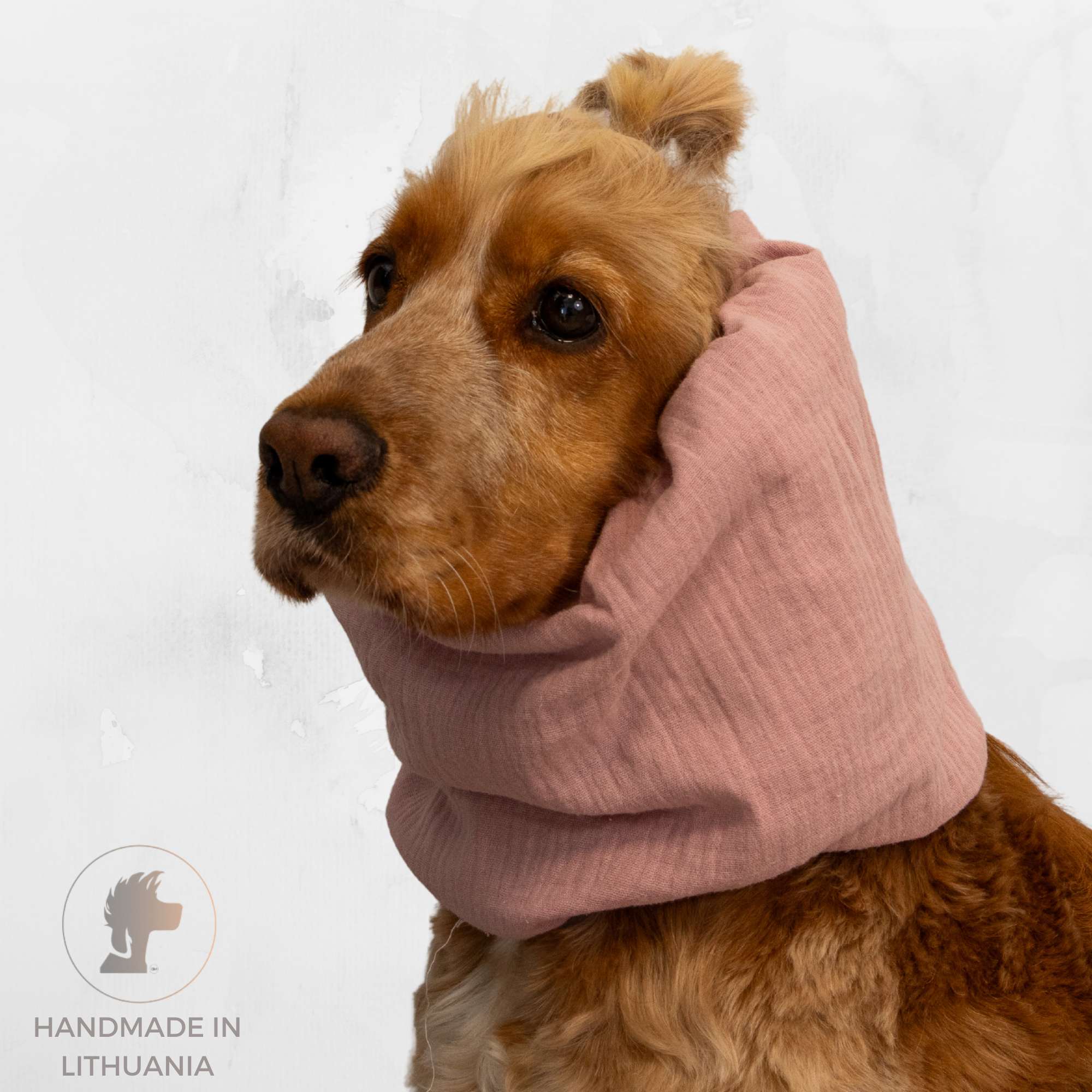 dog with pink snood by Distinguish me