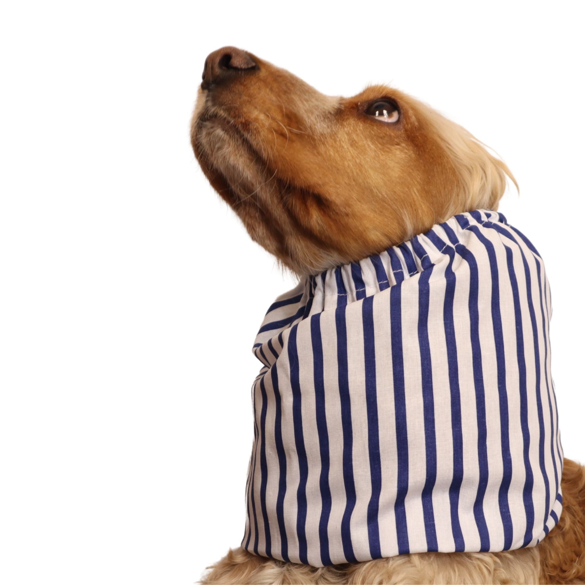 <tc>Medvilninis Snoodas Šuniui | Jūrininko klasika</tc>