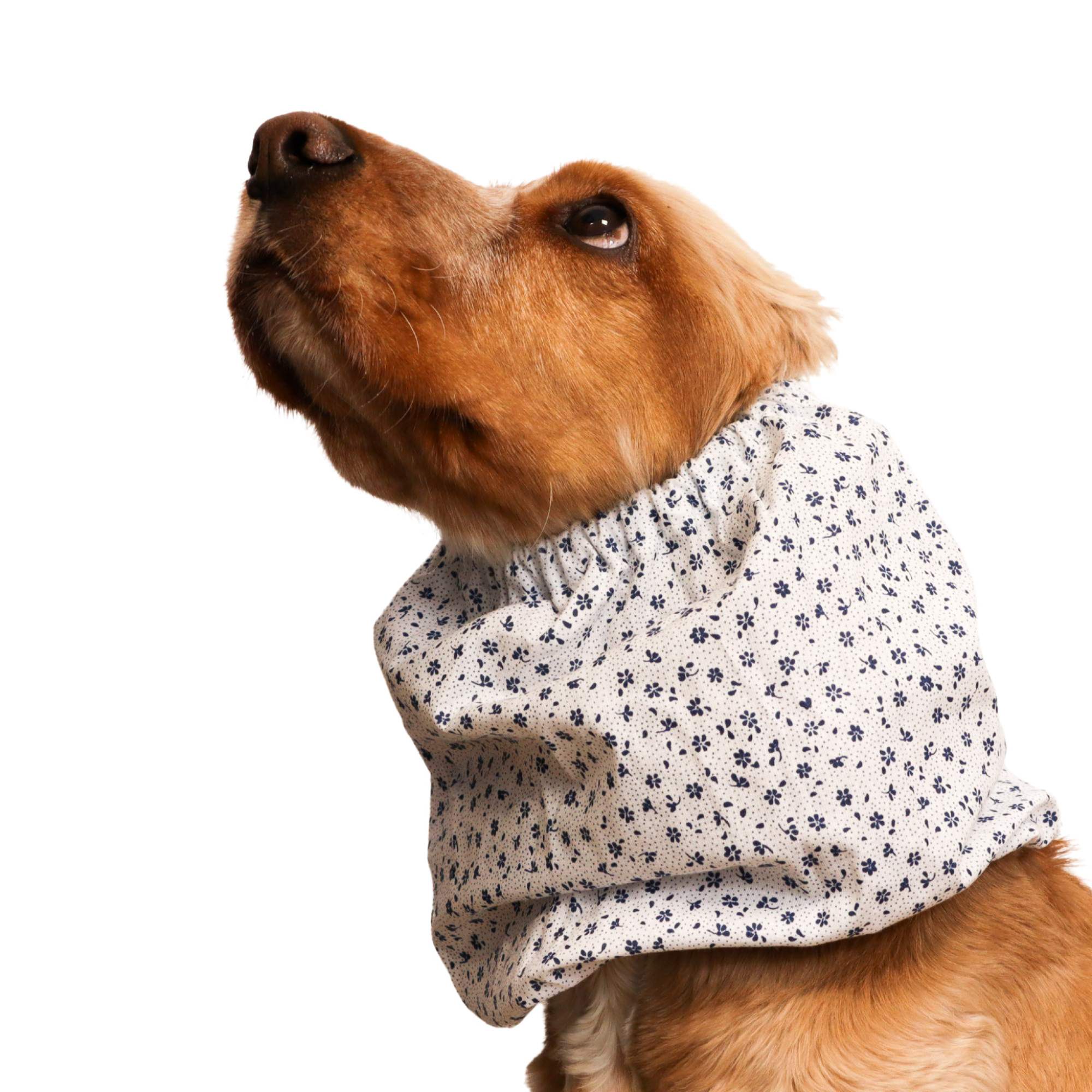 <tc>Medvilninis Snoodas Šuniui | Mėlynas porcelianas </tc>