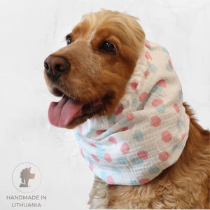 Cocker spaniel wearing pastel polka dot dog snood made from cotton muslin – Pastel Party design by Distinguish Me