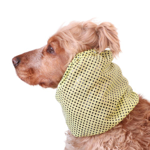 sparkling dog snood
