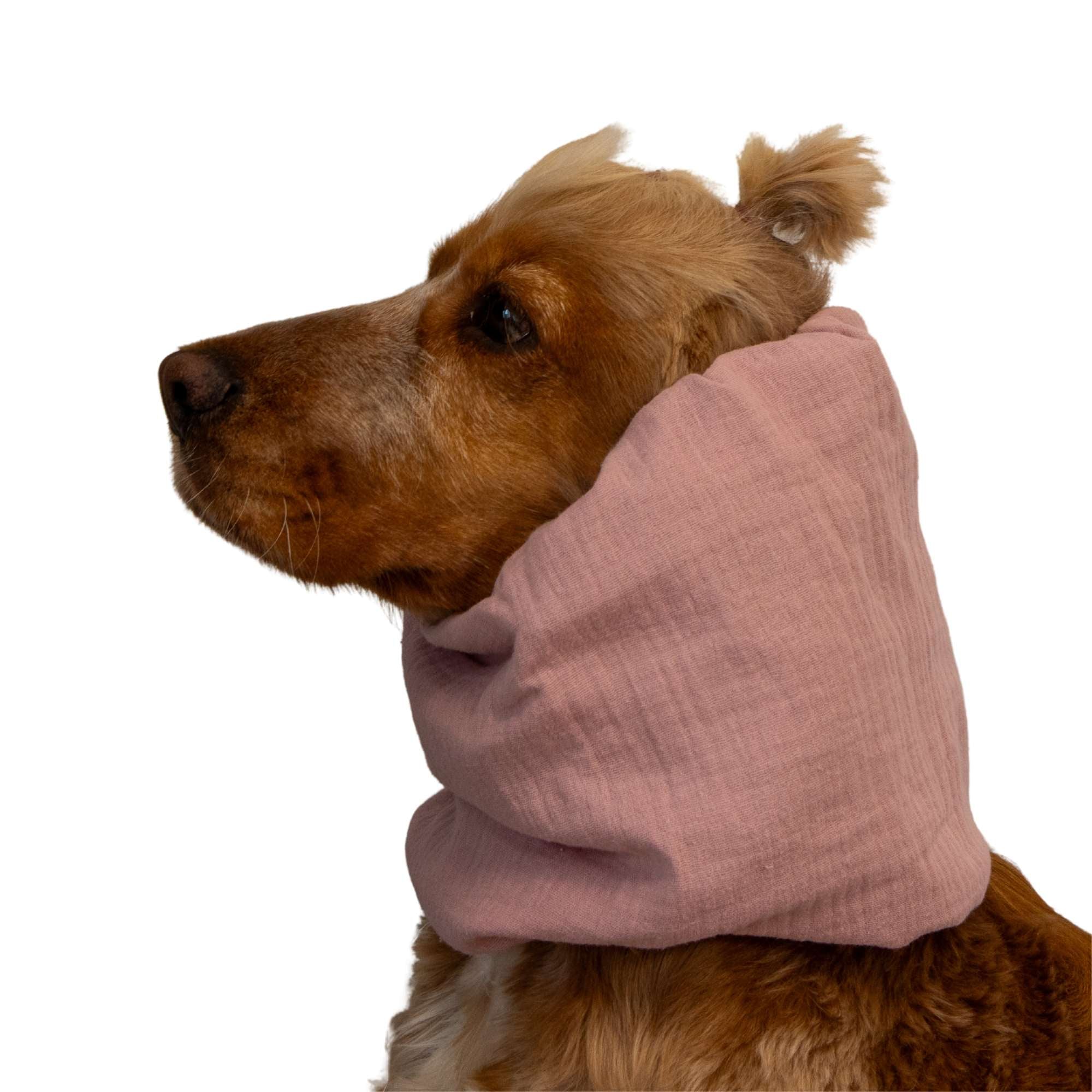 dog with pink snood by Distinguish me