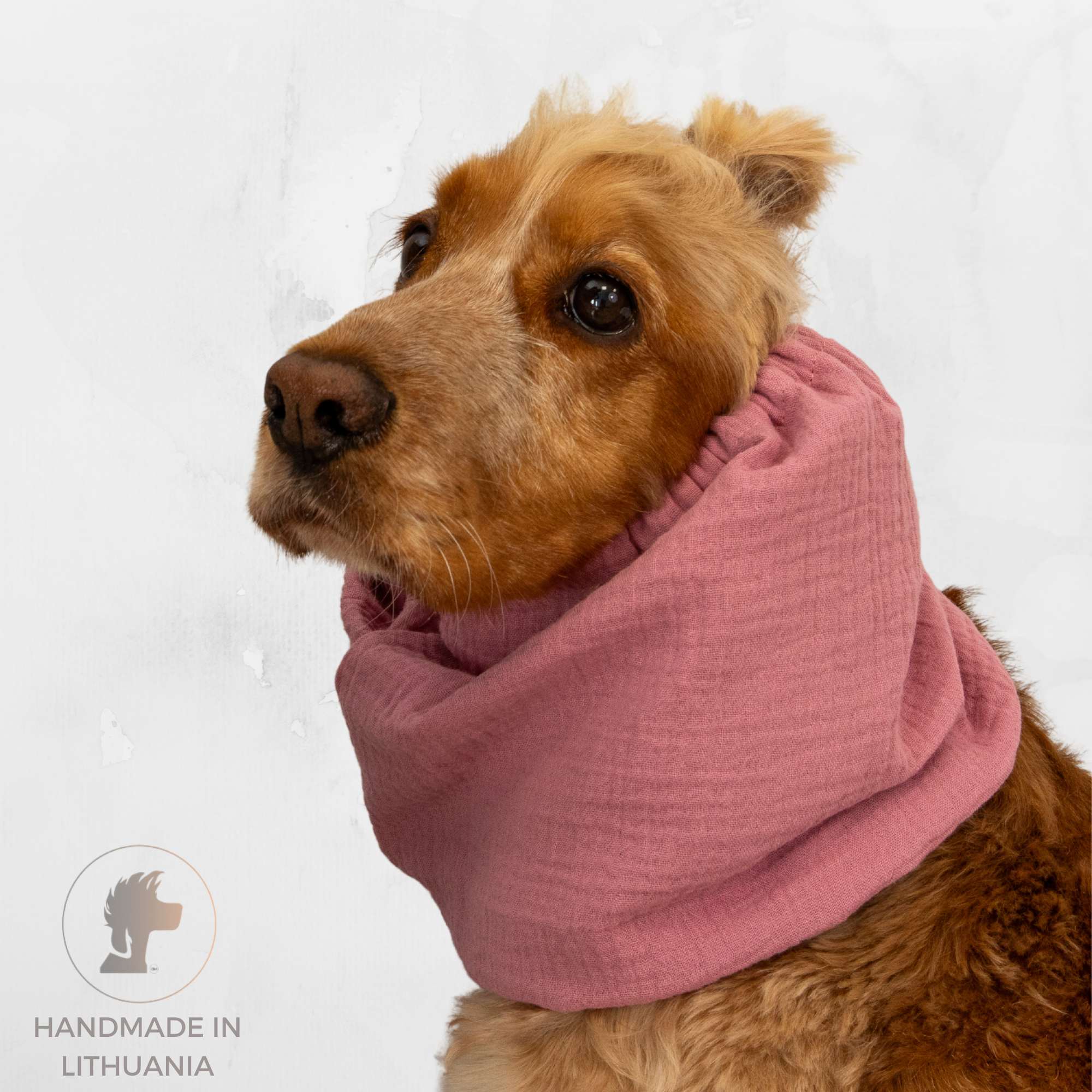 Dog with summer snood Dusty Pink by Distinguish me